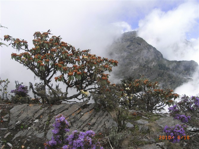 1526972904572322.jpg 1 (10).jpg