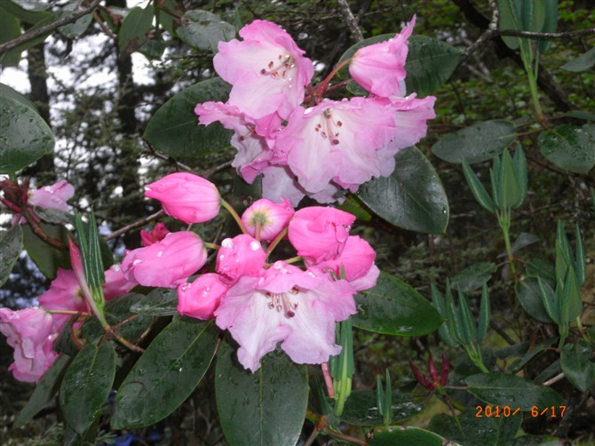 1526973891133346.jpg 1 (18).jpg