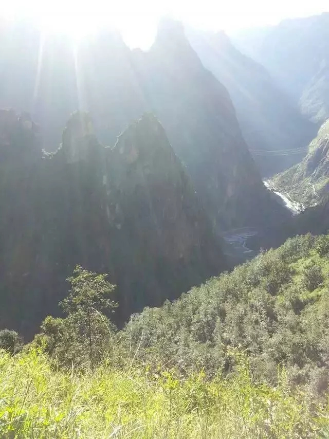 1555059864900181.jpg 1555059864900181.jpg