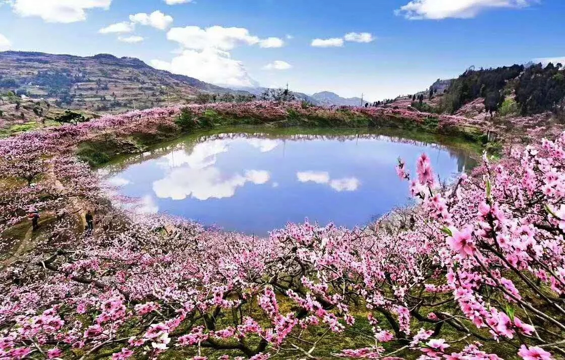 1555059965202636.jpg 1555059965202636.jpg