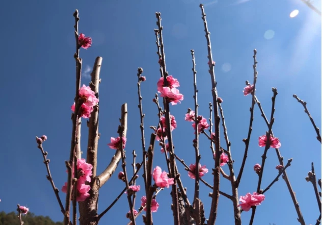 1555061289753443.jpg 0.jpg