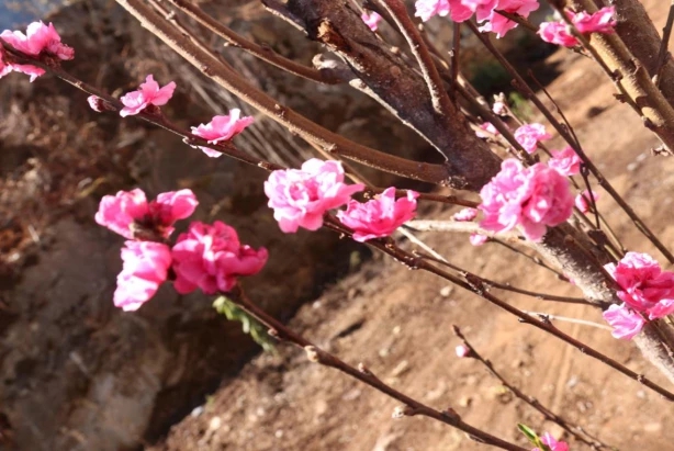 1555061583563716.jpg 6.jpg