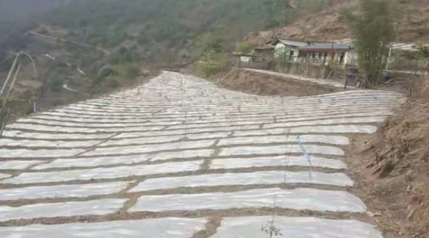 1555061621272520.jpg 7.jpg