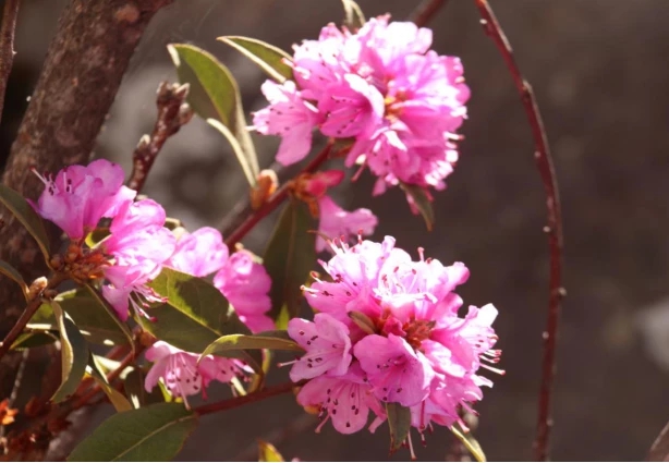 1555061685130450.jpg 9.jpg