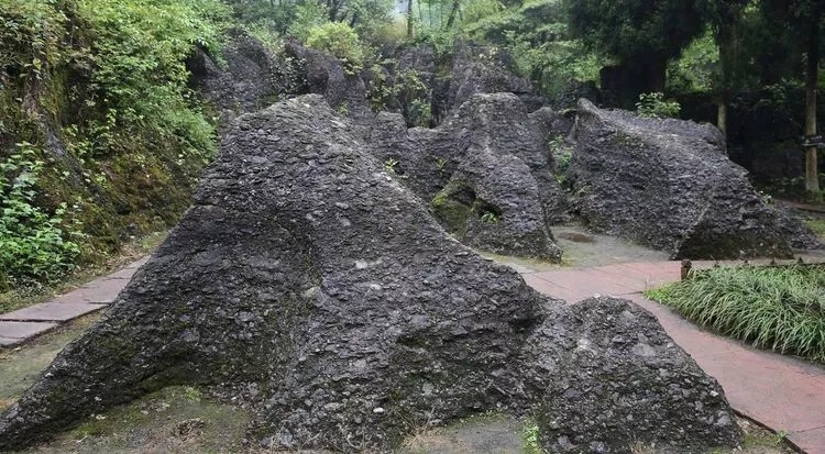 1557109094136625.jpg 1_wps圖片.jpg