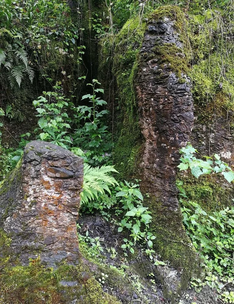 1557109154136088.jpg 2_wps圖片.jpg