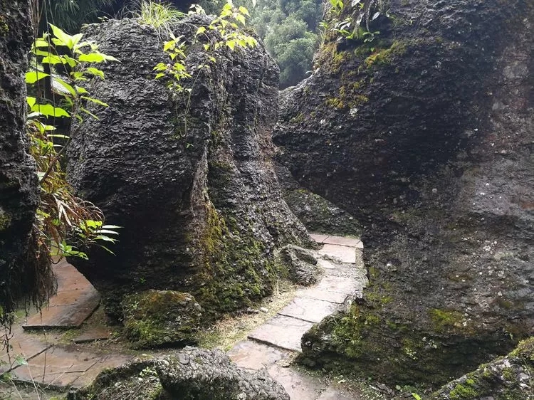 1557109218641948.jpg 3_wps圖片.jpg