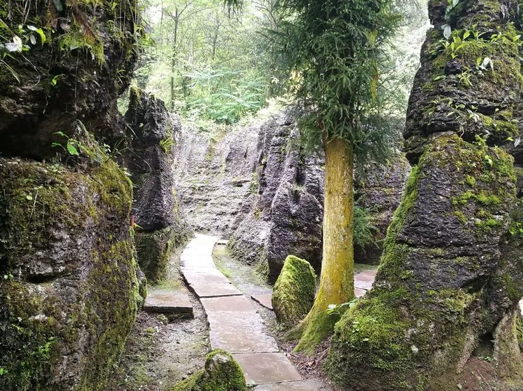 1557109432382552.jpg 6_wps圖片.jpg