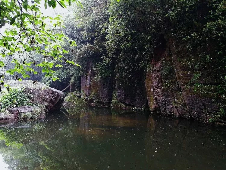 1557109561104459.jpg 8_wps圖片.jpg