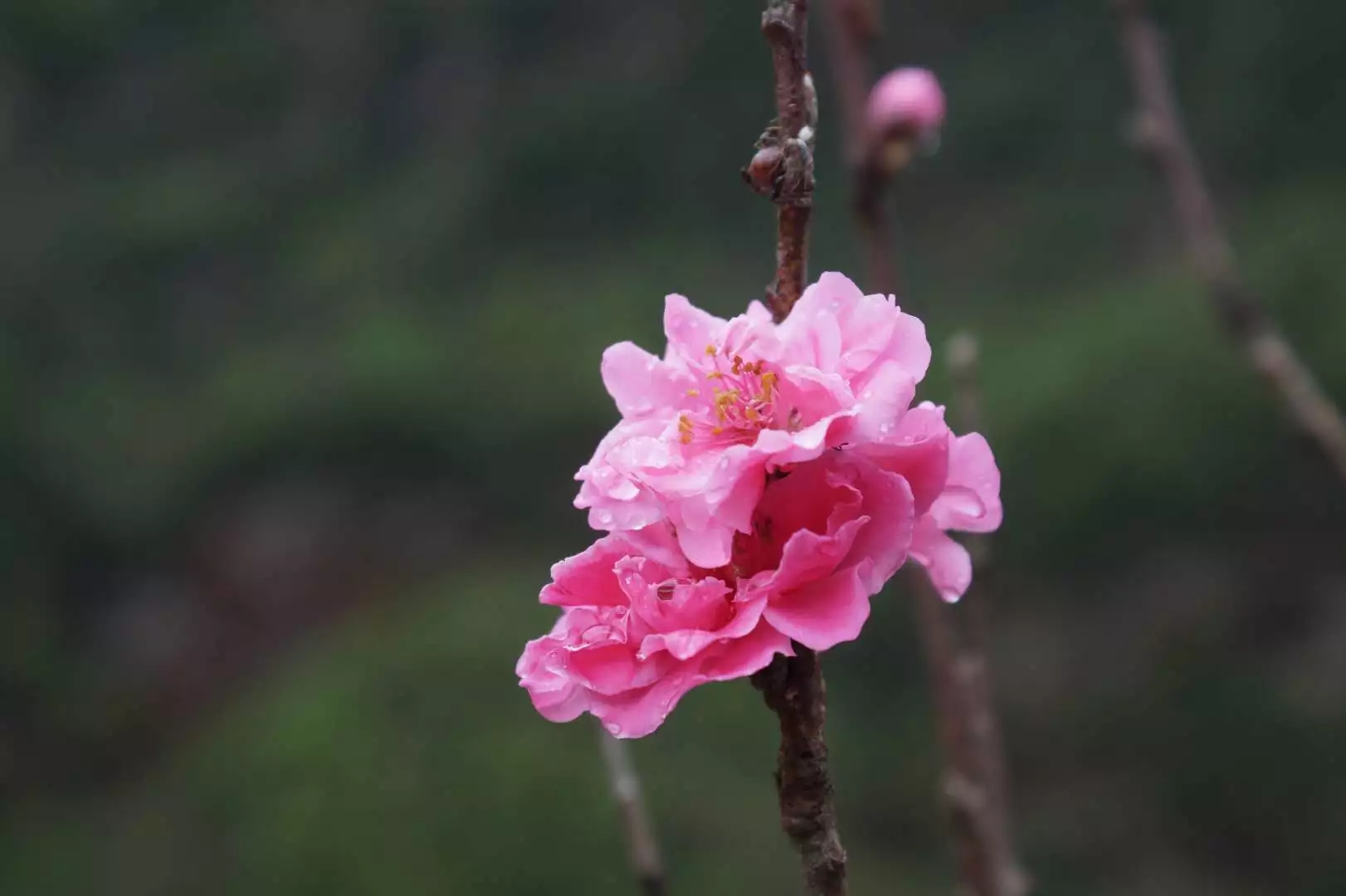 1557111572104438.jpg 1557111572104438.jpg