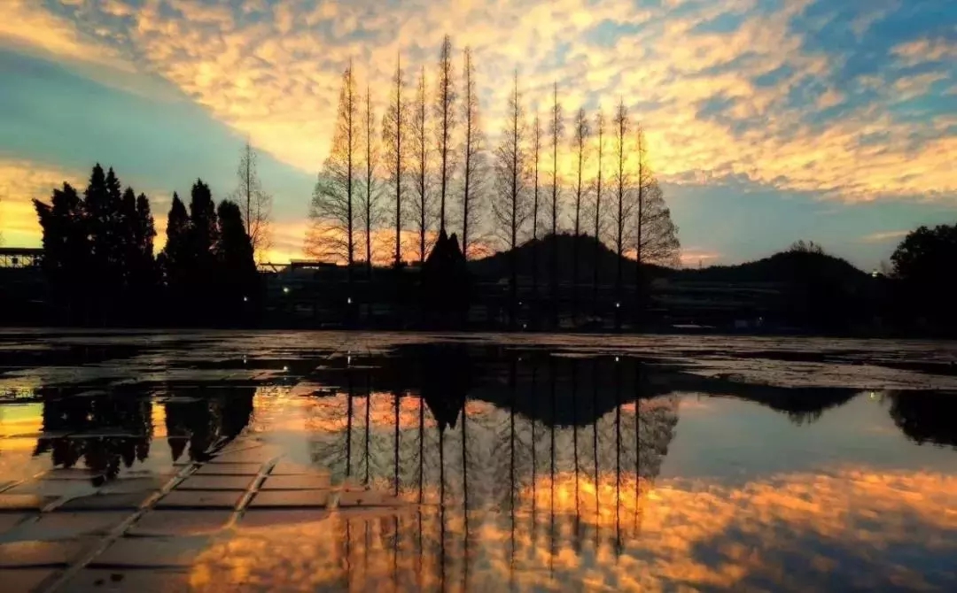 1557111974107162.jpg 8_wps圖片.jpg