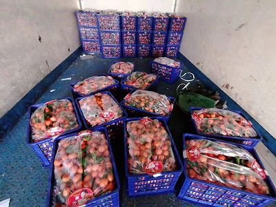 1581650747796776.png 圖片2.png