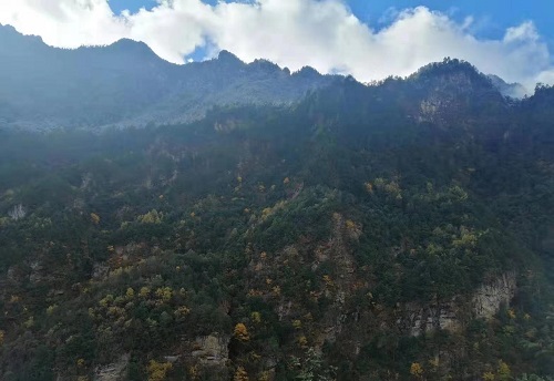 1610003011562425.jpg 7.jpg