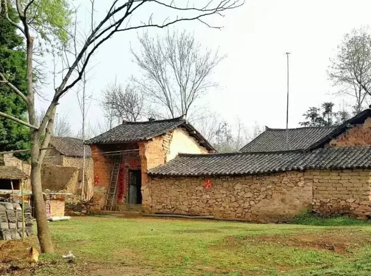 1625210740591514.png 2.png