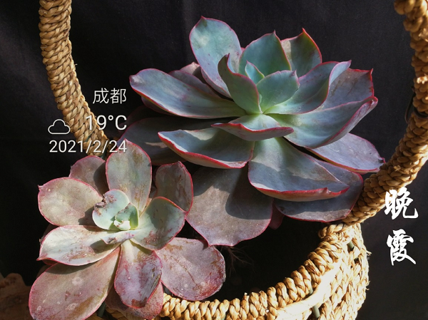 1625210847872168.png 4.png