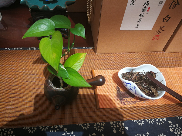 1625210878959178.png 5.png